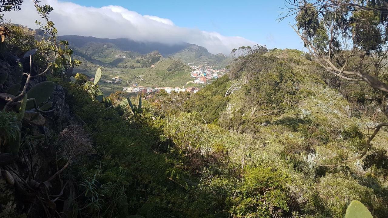 La Casita De Omar En El Corazon De Anaga Y La Laguna Las Mercedes Eksteriør bilde