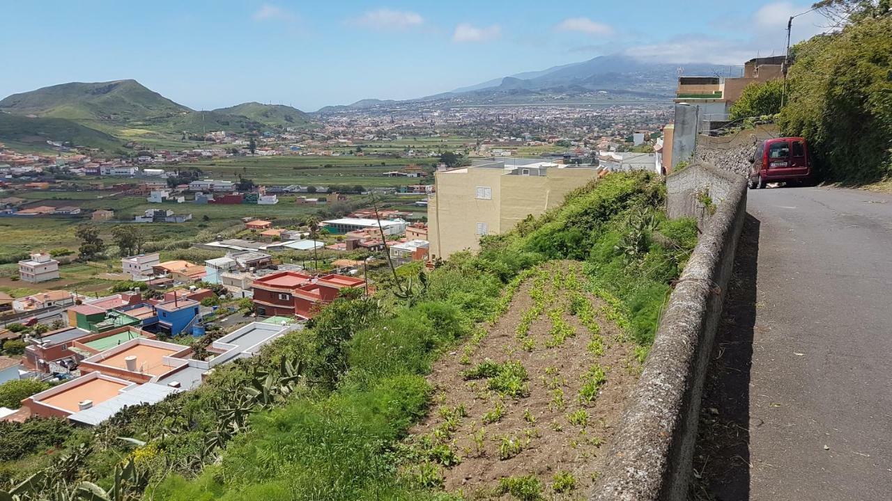 La Casita De Omar En El Corazon De Anaga Y La Laguna Las Mercedes Eksteriør bilde