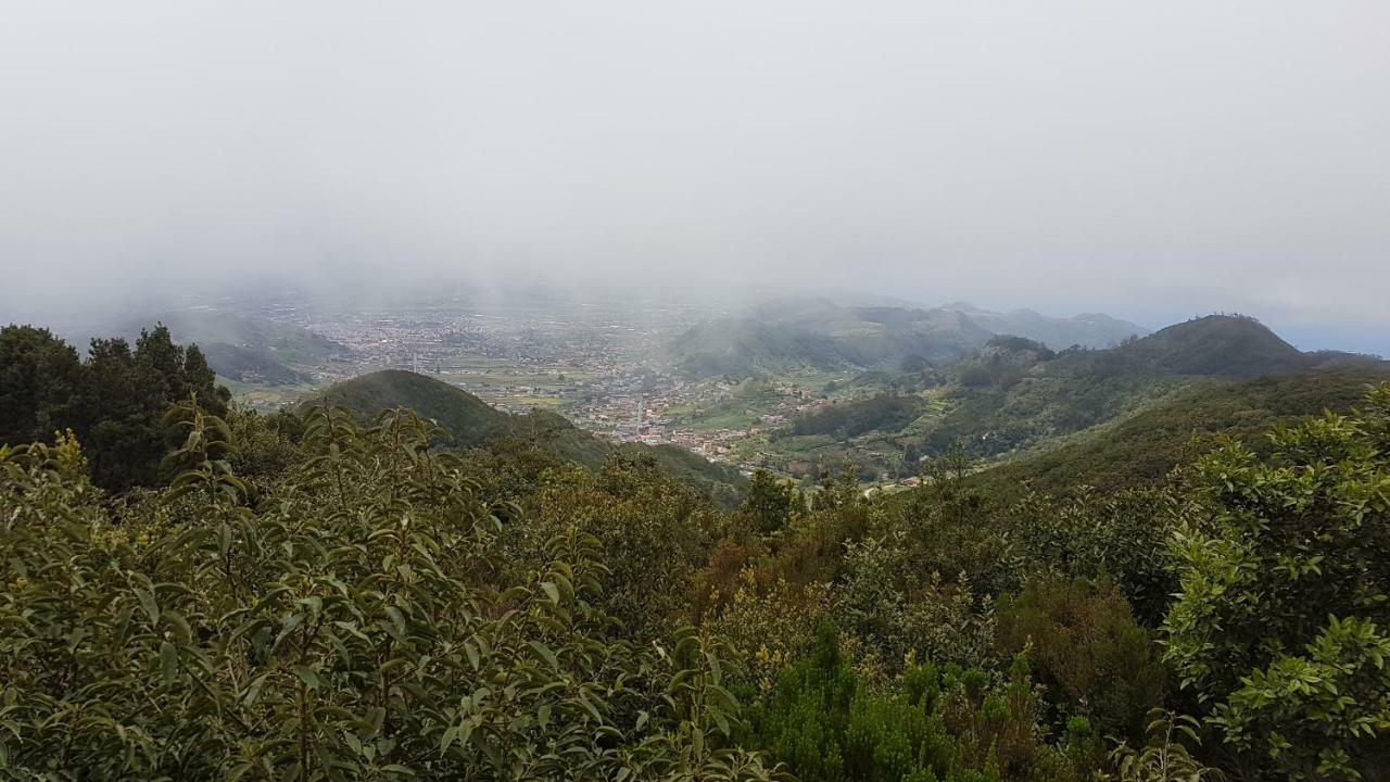 La Casita De Omar En El Corazon De Anaga Y La Laguna Las Mercedes Eksteriør bilde