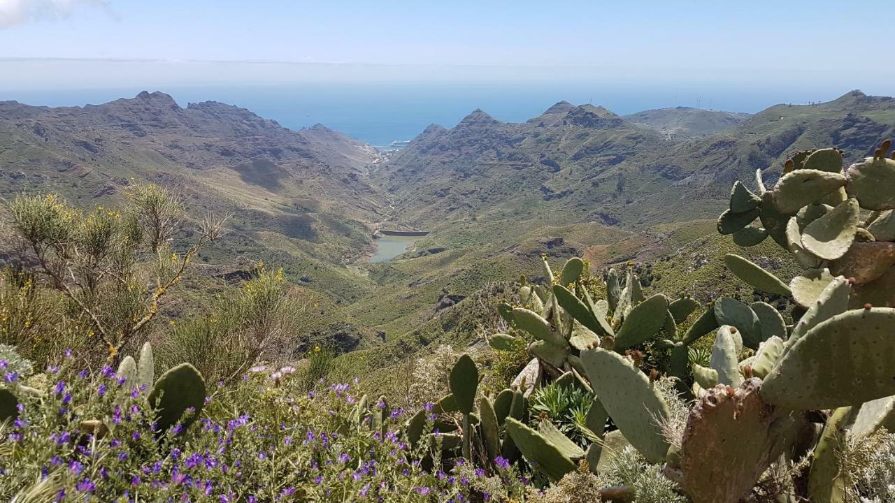 La Casita De Omar En El Corazon De Anaga Y La Laguna Las Mercedes Eksteriør bilde