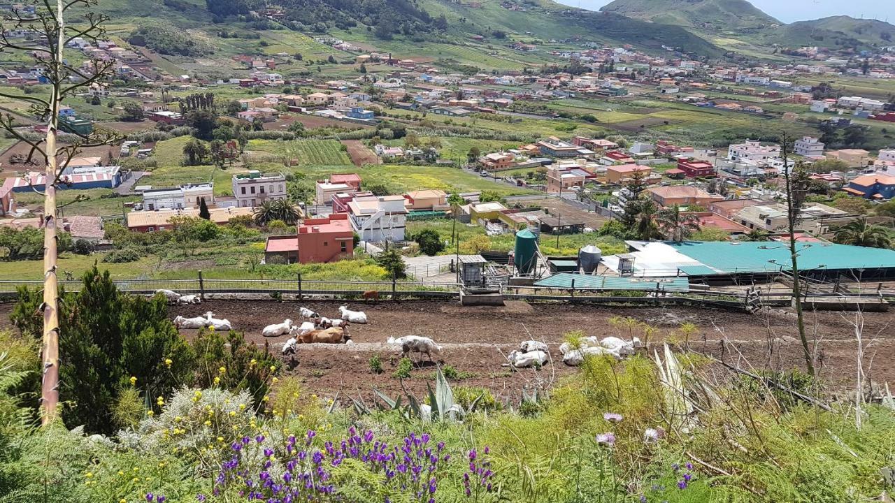 La Casita De Omar En El Corazon De Anaga Y La Laguna Las Mercedes Eksteriør bilde